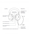 Jabra Evolve2 75 MS STEREO USB-A Bluetooth draadloze headset (excl. stand)